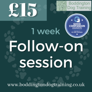 Single Follow-on Session