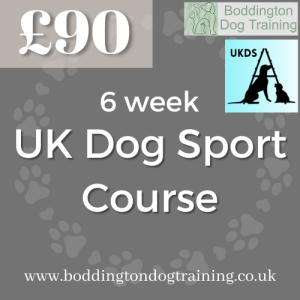 UK Dog Sport course