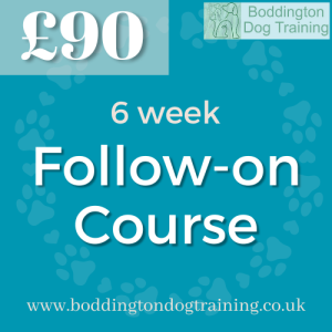 6 week Follow-on Course