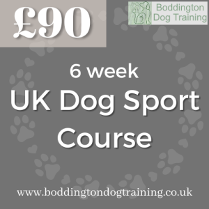 UK Dog Sport course