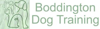 Boddington Dog Training