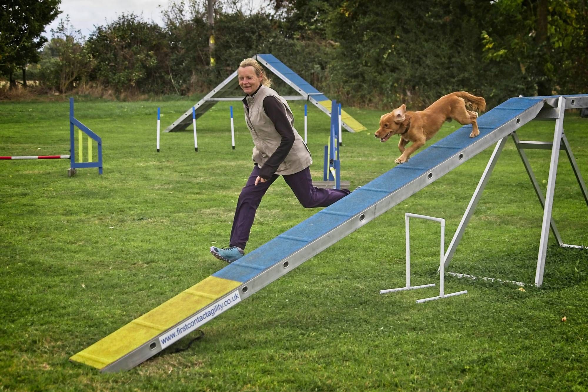 Agility dogwalk